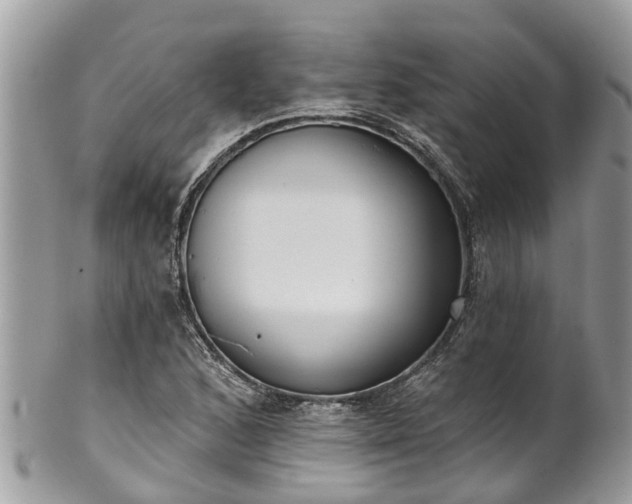 X0000102041168200807251408