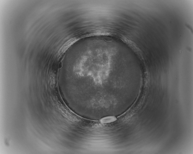 X0000102041169200807251408