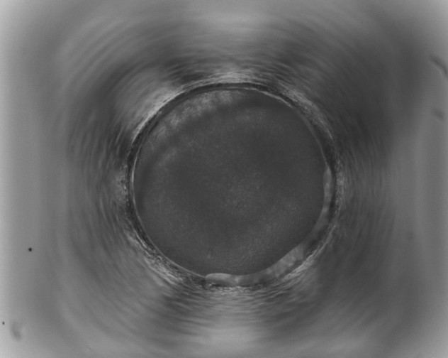 X0000102041170200807251408