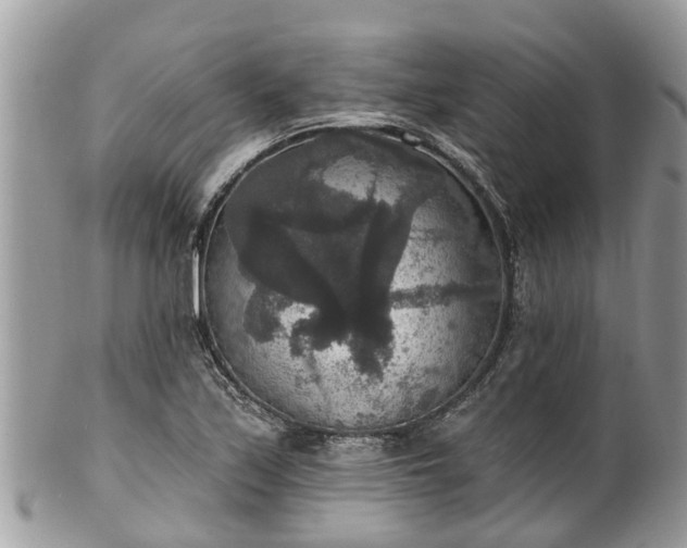 X0000102041171200807251408