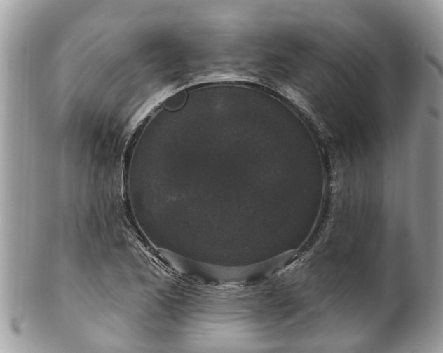 X0000102041173200807251407