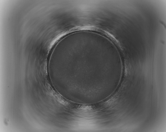 X0000102041174200807251407