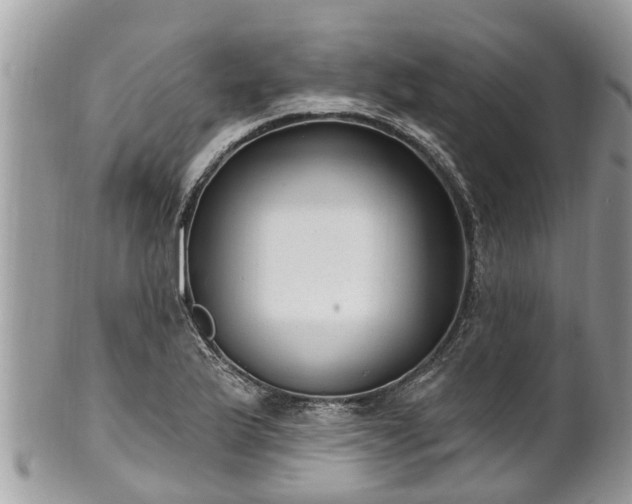 X0000102041175200807251407