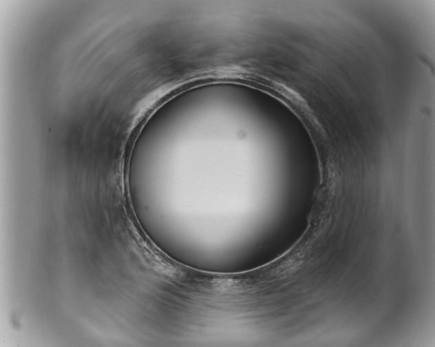 X0000102041176200807251407