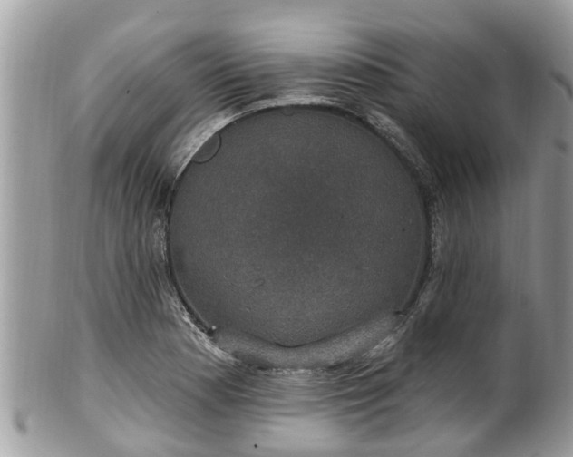 X0000102041177200807251407