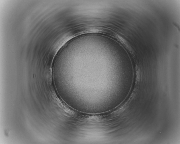 X0000102041178200807251407