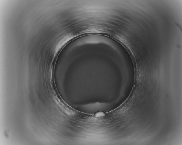 X0000102041179200807251407