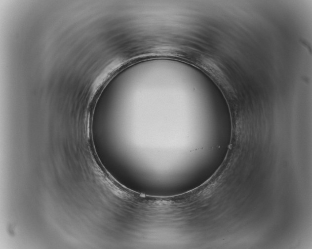 X0000102041180200807251407