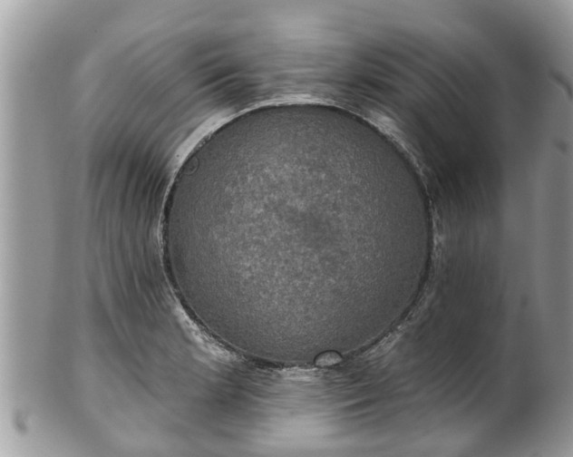 X0000102041181200807251407