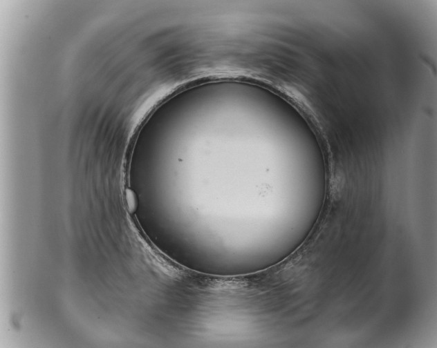 X0000102041183200807251407