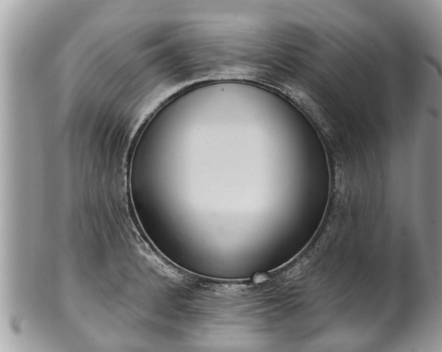 X0000102041184200807251407