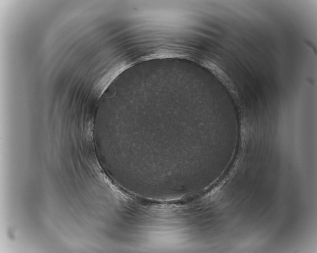 X0000102041185200807251407