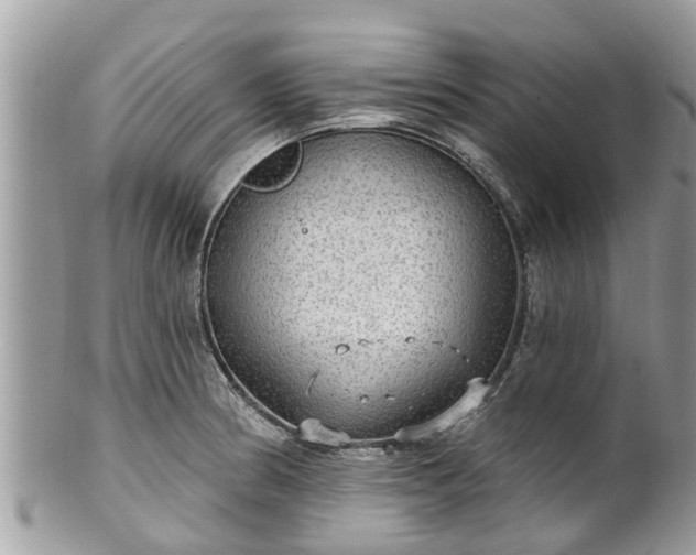 X0000102041186200807251407