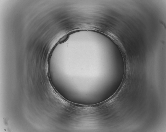 X0000102041188200807251407