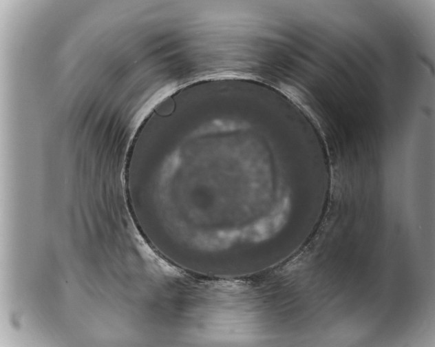 X0000102041189200807251407