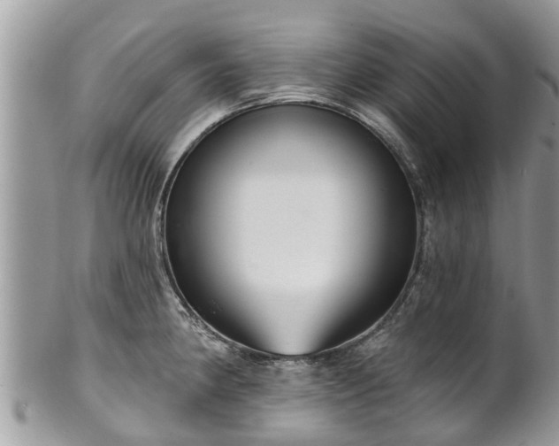 X0000102041190200807251407