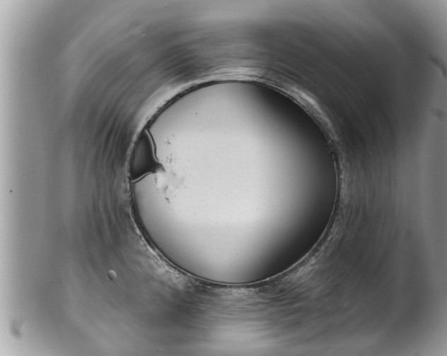 X0000102041192200807251407