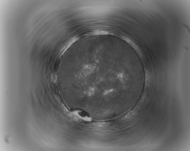 X0000102041193200807251407