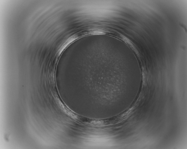 X0000102041194200807251407