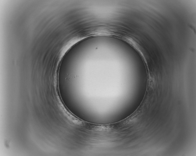 X0000102041195200807251407