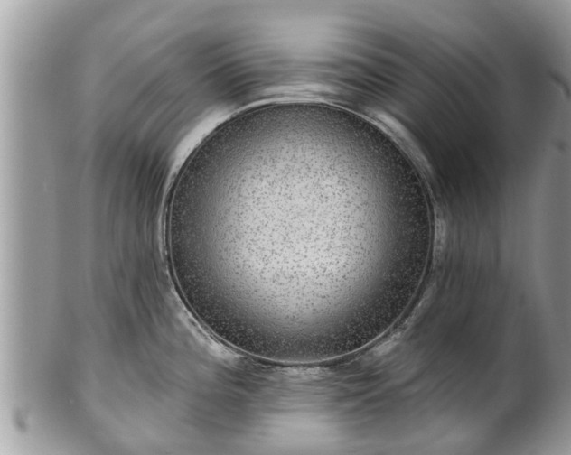 X0000102041196200807251407