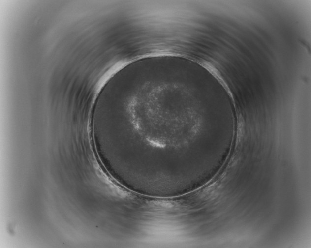 X0000102041197200807251407