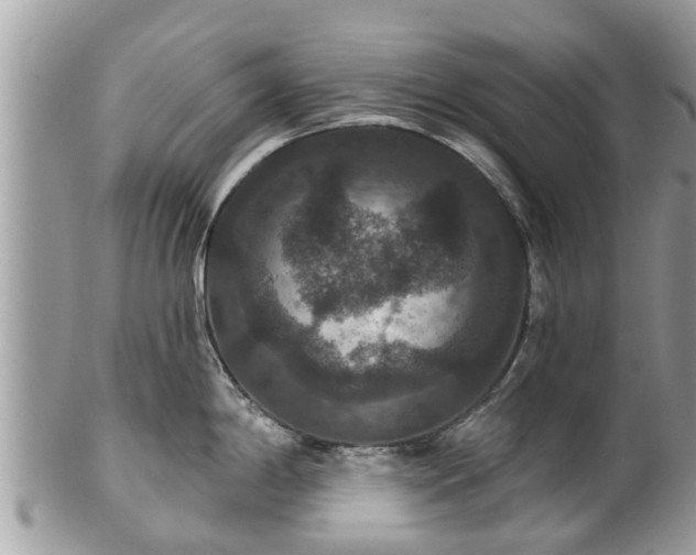 X0000102041198200807251407