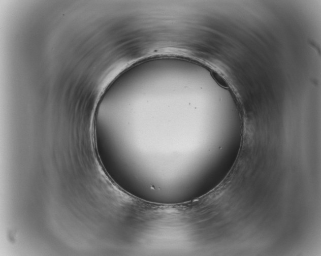 X0000102041199200807251407