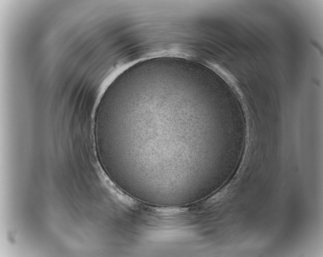 X0000102041200200807251407