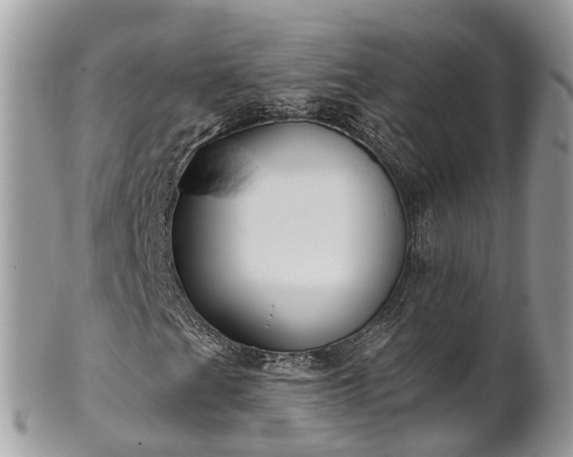 X0000102041201200807251406