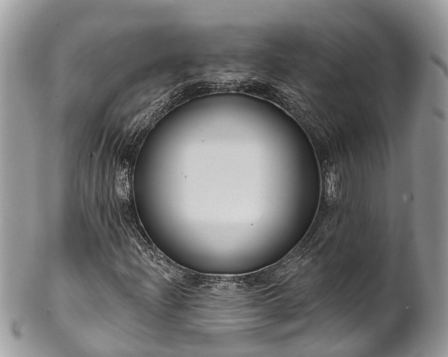 X0000102041204200807251406