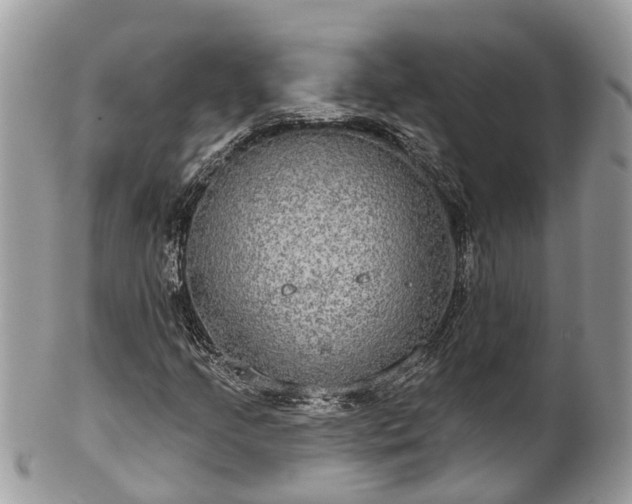 X0000102041205200807251406