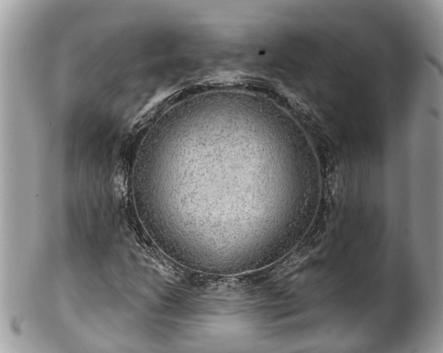 X0000102041206200807251406