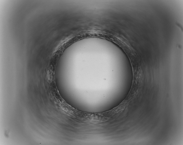 X0000102041207200807251406