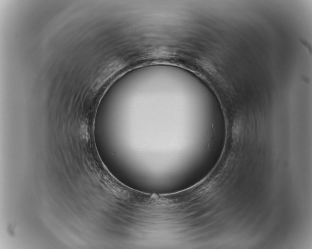 X0000102041209200807251406