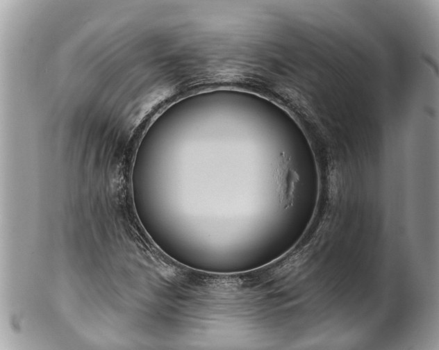 X0000102041210200807251406