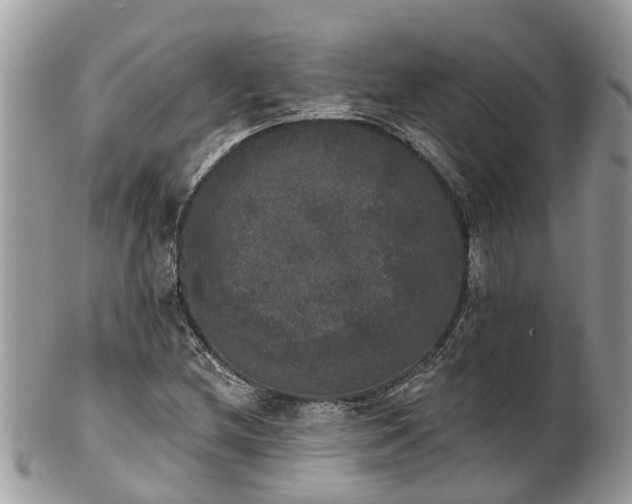 X0000102041212200807251406