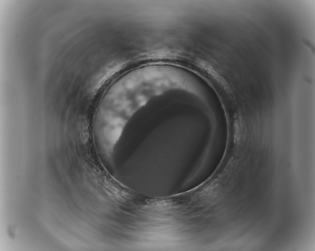 X0000102041213200807251406