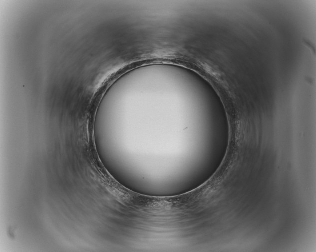 X0000102041214200807251406