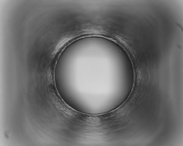 X0000102041215200807251406