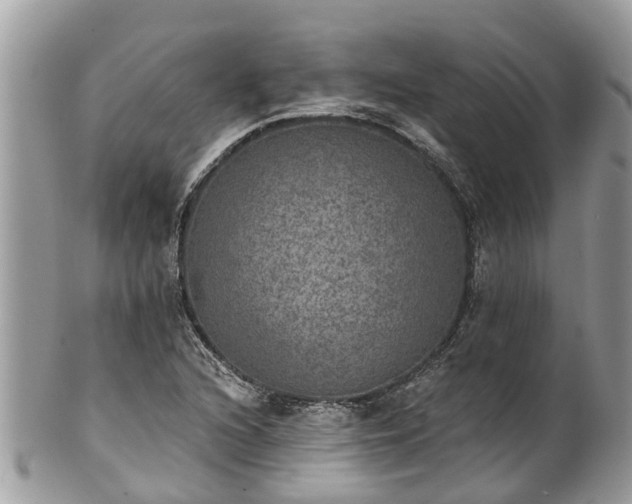 X0000102041216200807251406