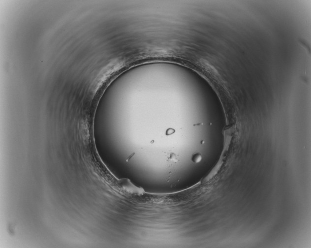 X0000102041218200807251406