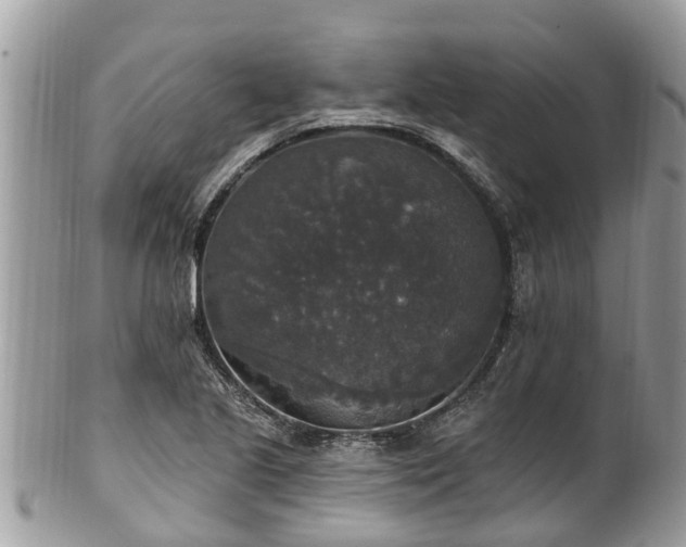 X0000102041221200807251406