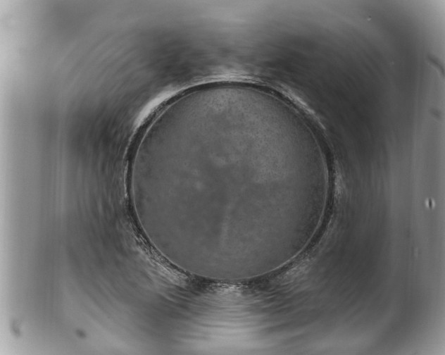 X0000102041222200807251406