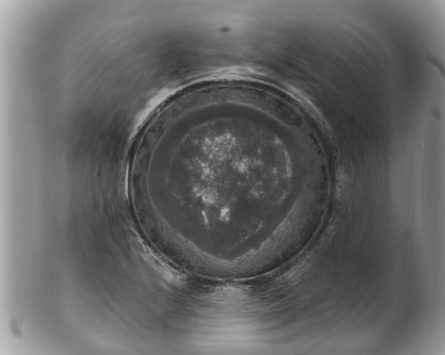 X0000102041224200807251406