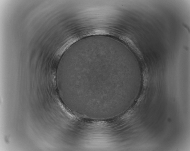 X0000102041225200807251406