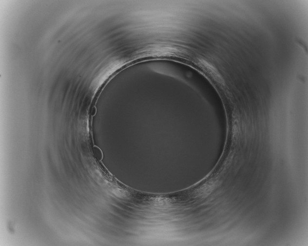 X0000102041226200807251407