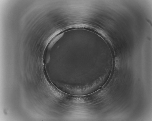 X0000102041229200807251407