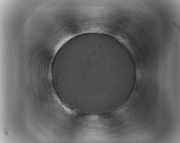 X0000102041230200807251407