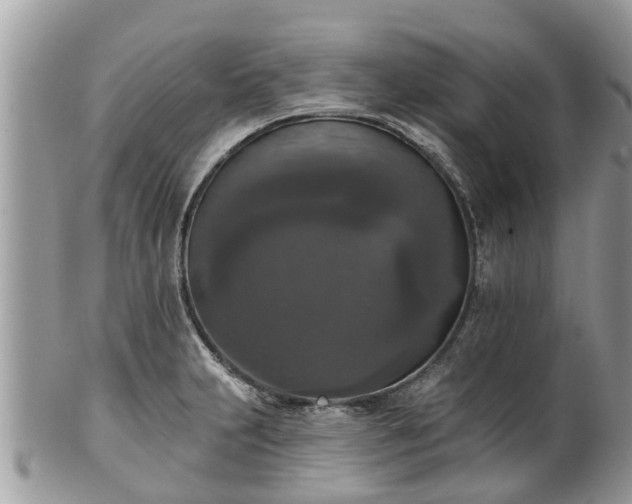 X0000102041231200807251407